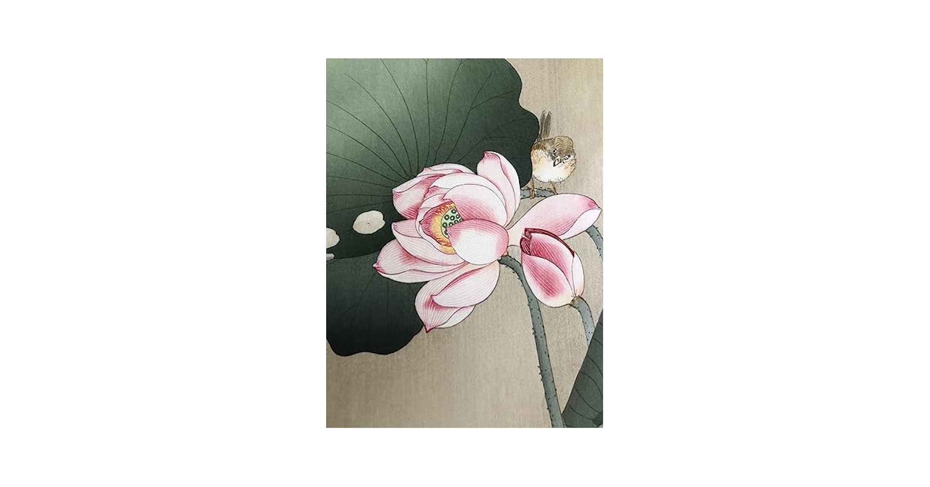 【真作】　★青嵐 サイン入り　肉筆短冊　花鳥図 真作】 ☆青嵐 サイン入り 肉筆短冊 花鳥図